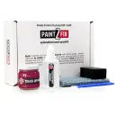 Dodge Furious Fuchsia PHP / GHP Lakstift Set — 1