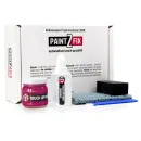 Volkswagen Fresh Fuchsia LB3X Touch Up Paint Kit — 1