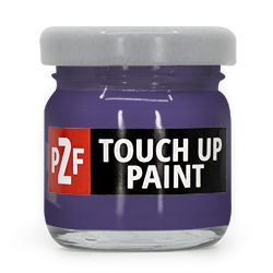 Renault Violet Blueberry LNJ Touch Up Paint Kit
