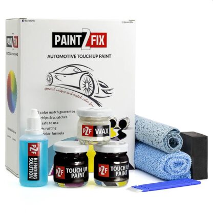 Audi Black Mika LZ9W Touch Up Paint & Scratch Repair Kit