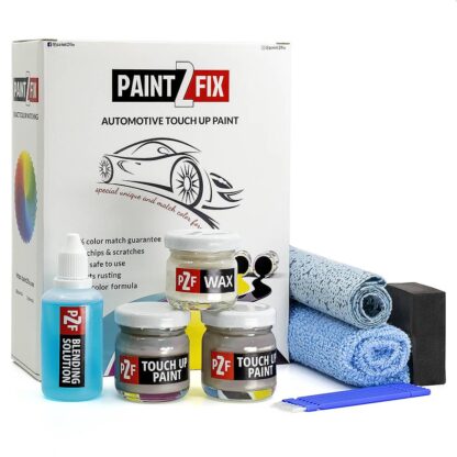 Buick Light Tarnished Silver WA433P Touch Up Paint & Scratch Repair Kit