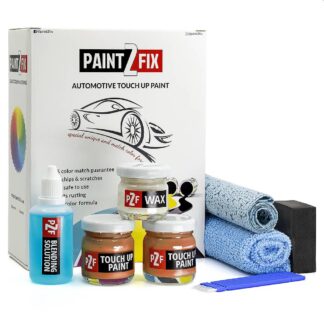 Citroen Orange EHS / HS Touch Up Paint & Scratch Repair Kit