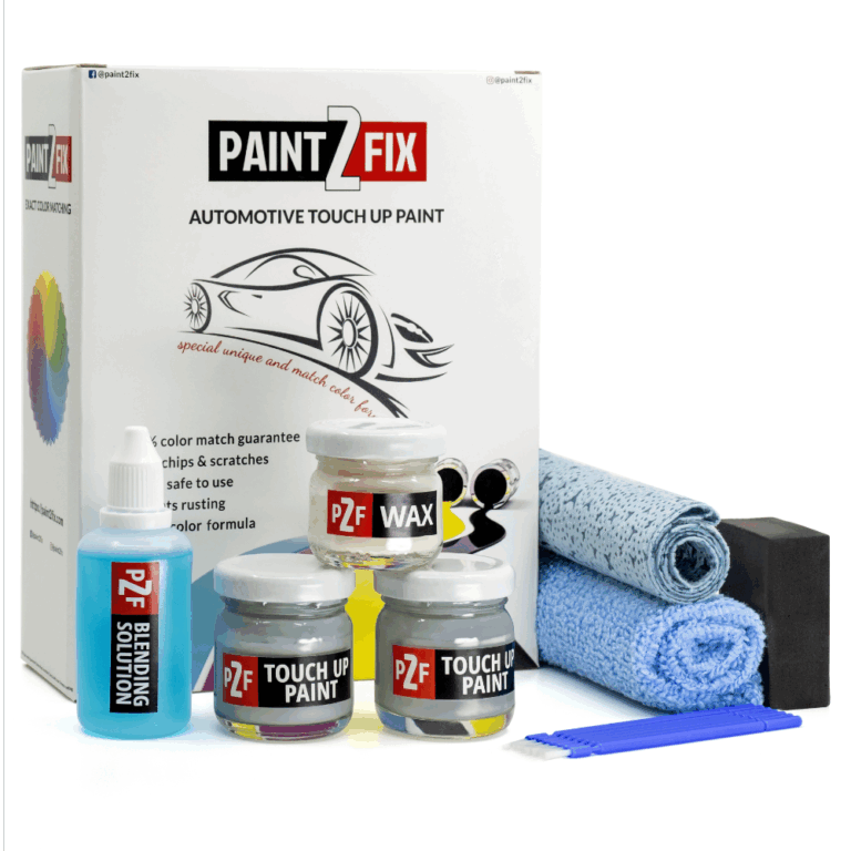 Dodge Silver PAF / LAF Touch Up Paint & Scratch Repair Kit