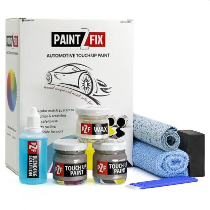 Honda Galaxy Gray NH701M / A / C / L / S Touch Up Paint & Scratch Repair Kit