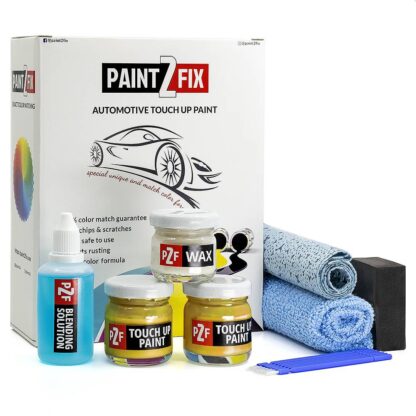 Nissan Beacon Yellow EAZ Touch Up Paint & Scratch Repair Kit