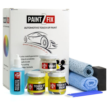 Porsche Racing Yellow / Racinggelb 1S1 Touch Up Paint & Scratch Repair Kit