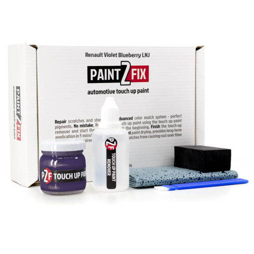 Renault Violet Blueberry LNJ Touch Up Paint & Scratch Repair Kit