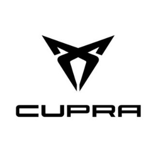 Cupra Touch Up Paint