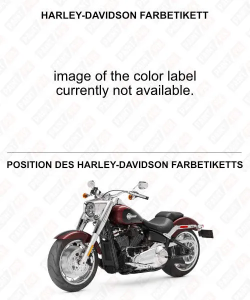 Harley-davidson Farbetikett