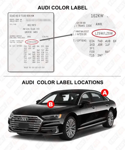 Genuine Audi EXD-ALS-TY9-C, Audi Touch Up Paint - Ibis White - Y9C, FREE  Shipping on Most Orders $499+ OEMG!