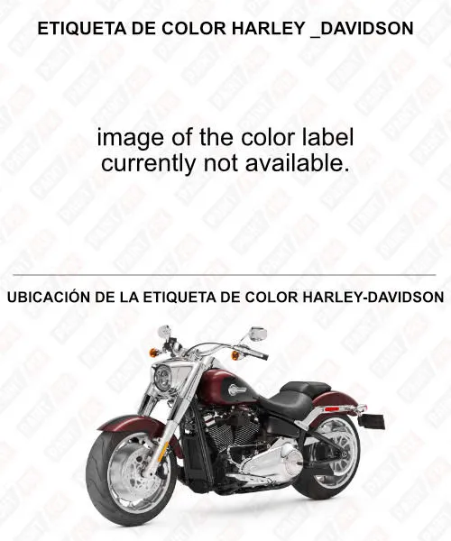 Harley-davidson Etiqueta de color