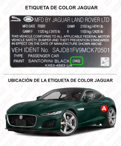 Jaguar Etiqueta de color