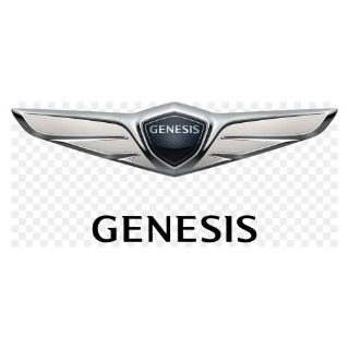 Genesis Touch Up Paint