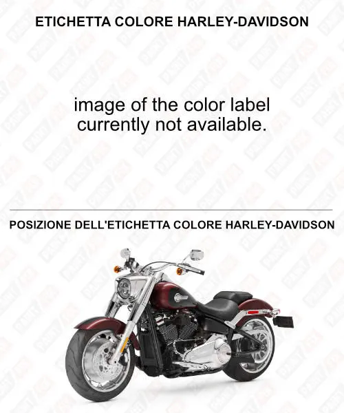 Harley-davidson Etichetta a colori