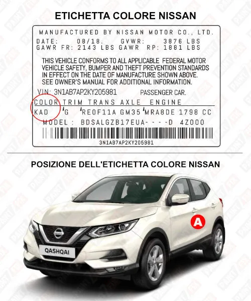 Nissan Etichetta a colori