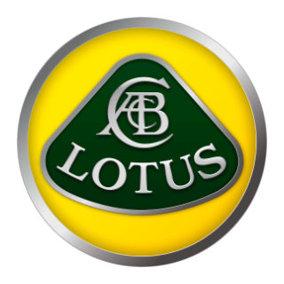Lotus Touch Up Paint