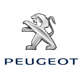 Peugeot Touch Up Paint